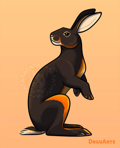 Sharable Art: Belgian Hare