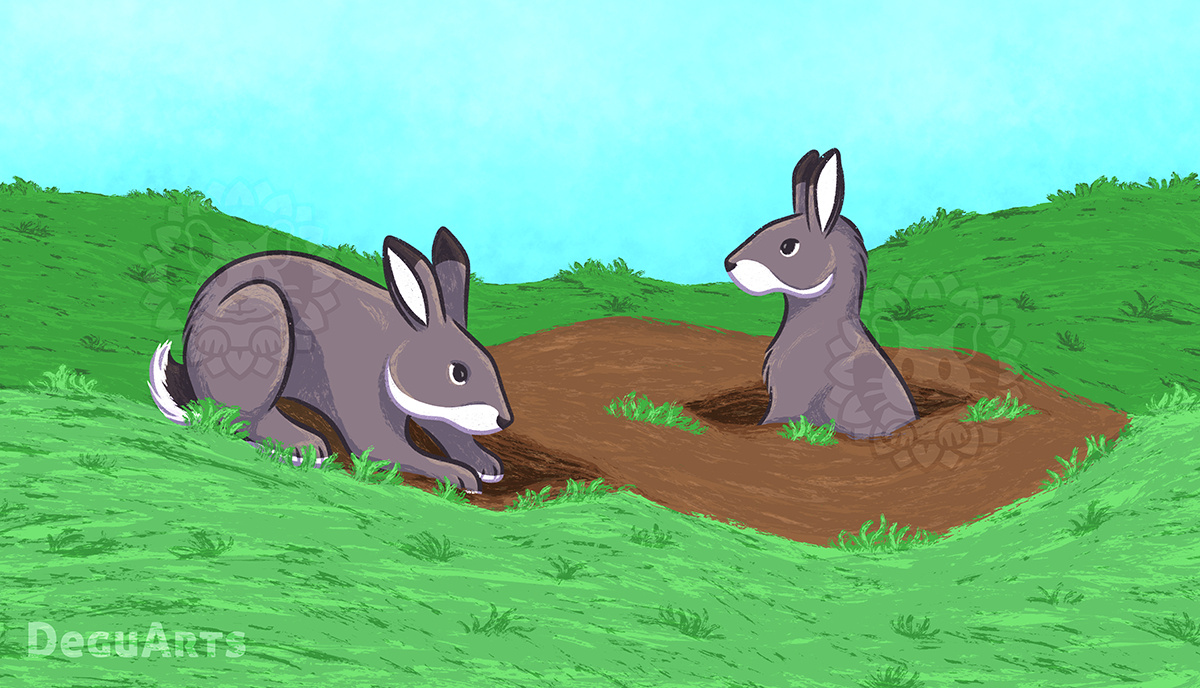 Sharable Art: Bunny Burrows