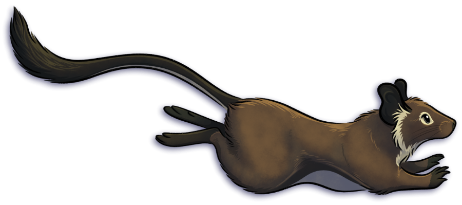Artwork of a running degu